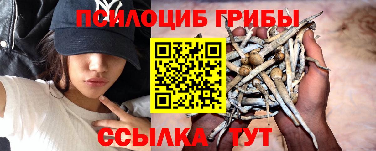 Галлюциногенные грибы Psilocybe Дзержинский